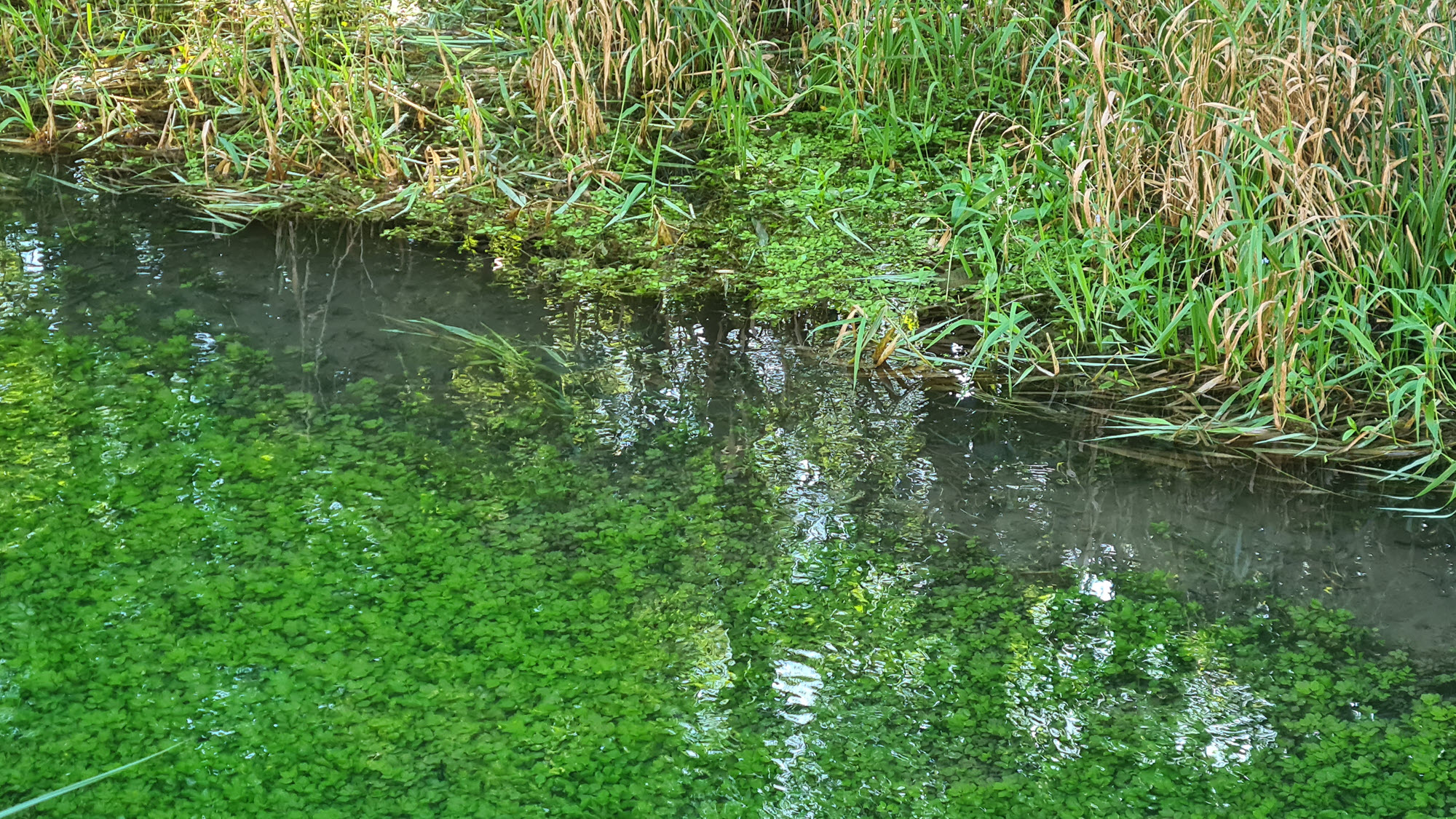 Wanderung Paradiestal
