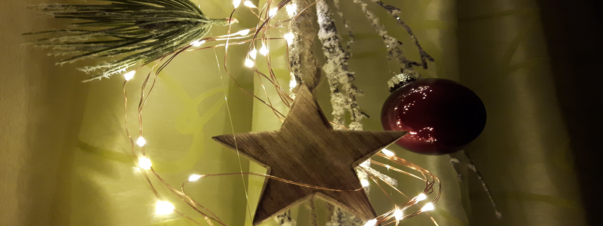 Winterzeit in der Akazienblüte Winterzeit in der Akazienblüte